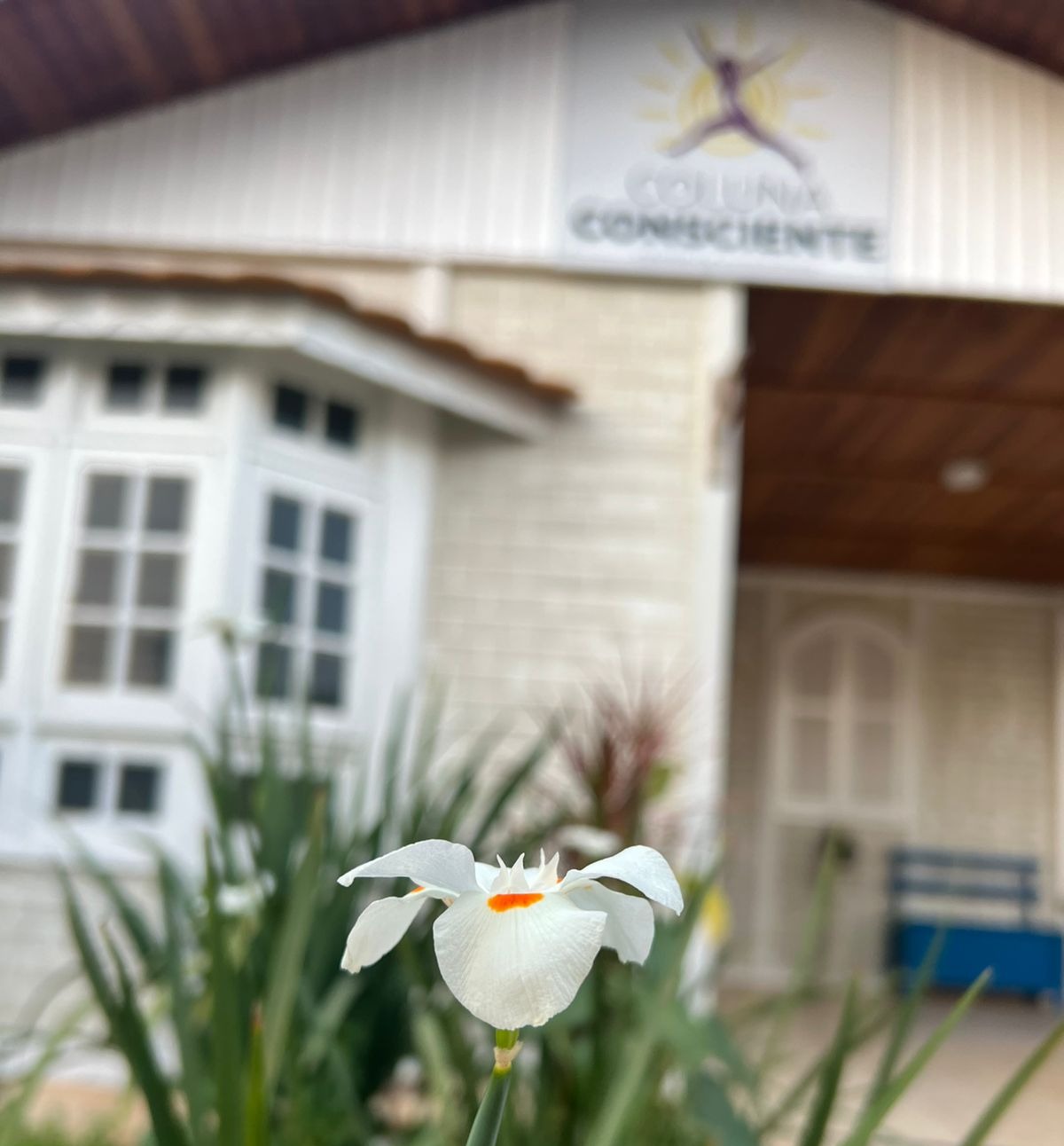 WhatsApp Image 2025-10-02 at 16.54.59 (1).jpeg